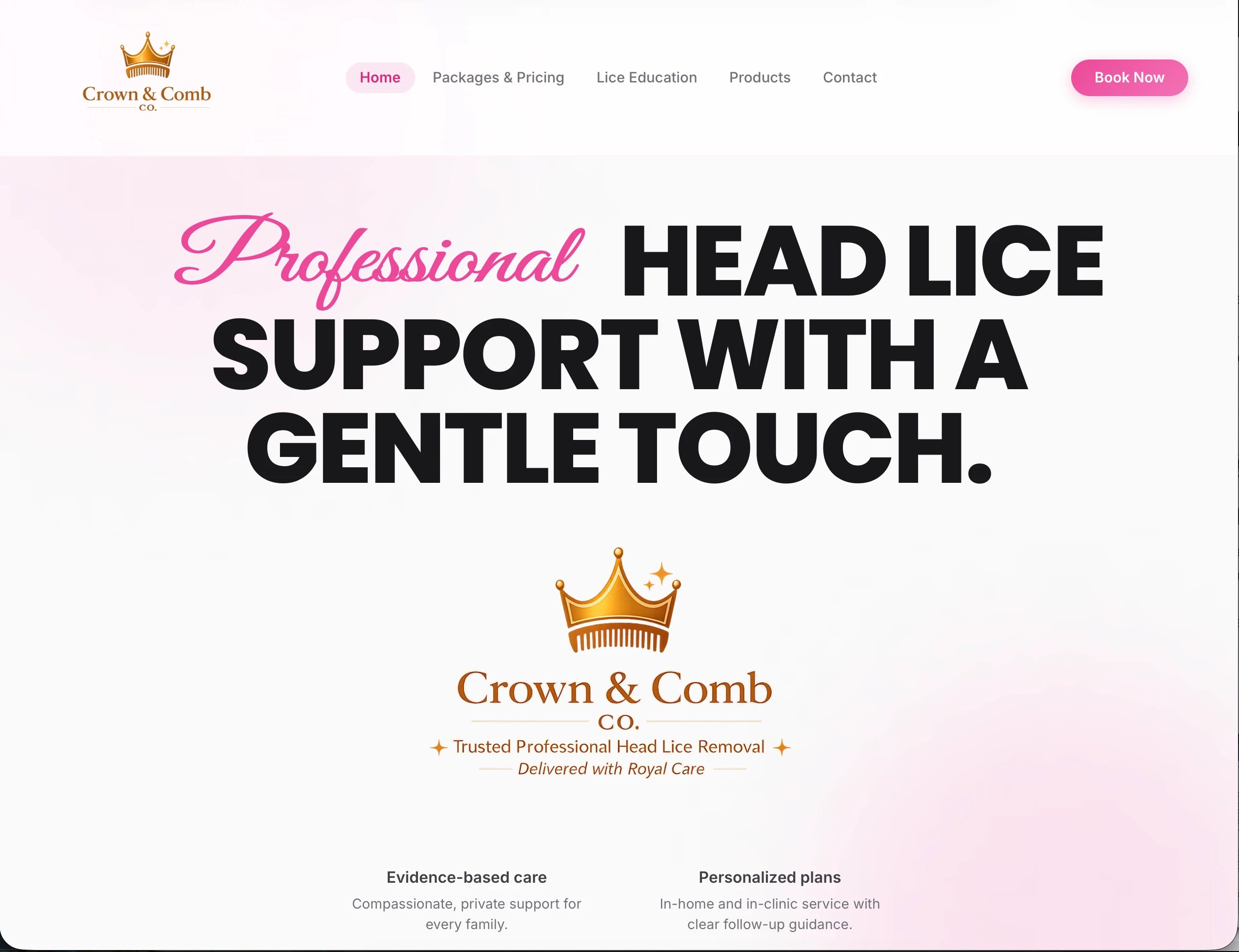 Crown & Comb head-lice removal company website homepage
